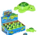 Wind up turtle